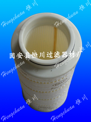 頗爾濾油機濾芯